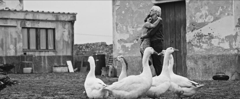 ti mangio il cuore michele placido scena del film